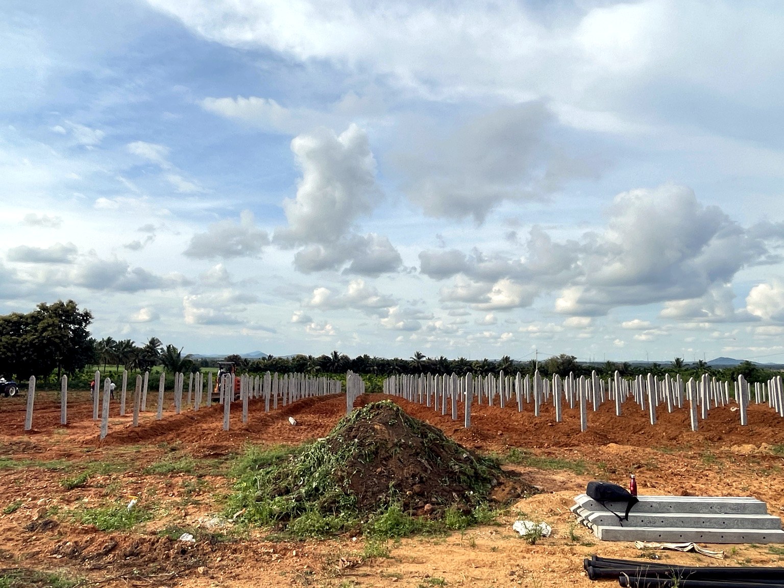 JD Farms field development