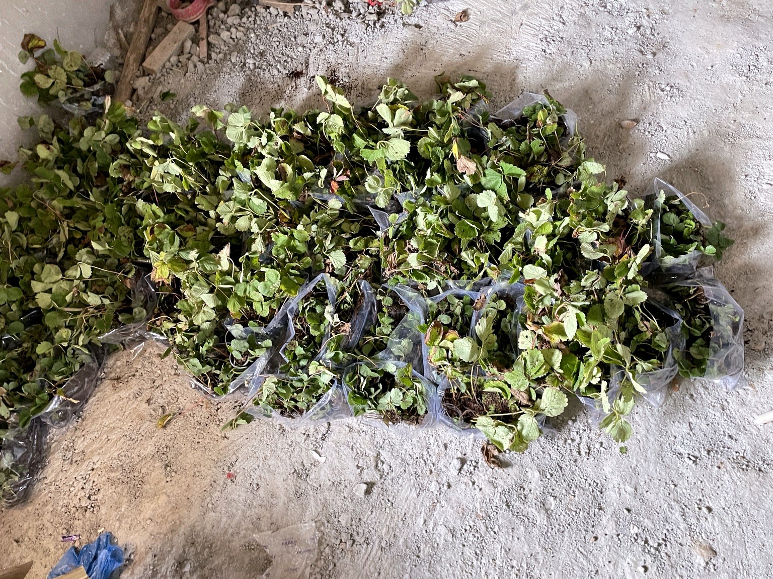 Farm soil work